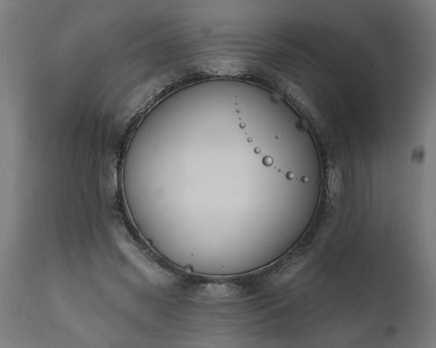 X0000111830541200907301322