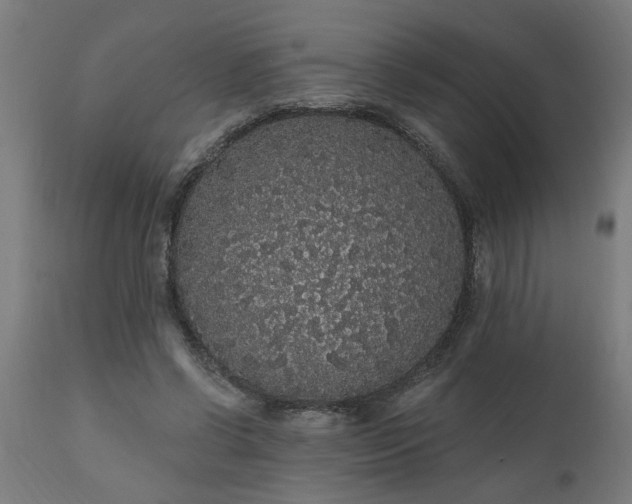X0000111830542200907301322
