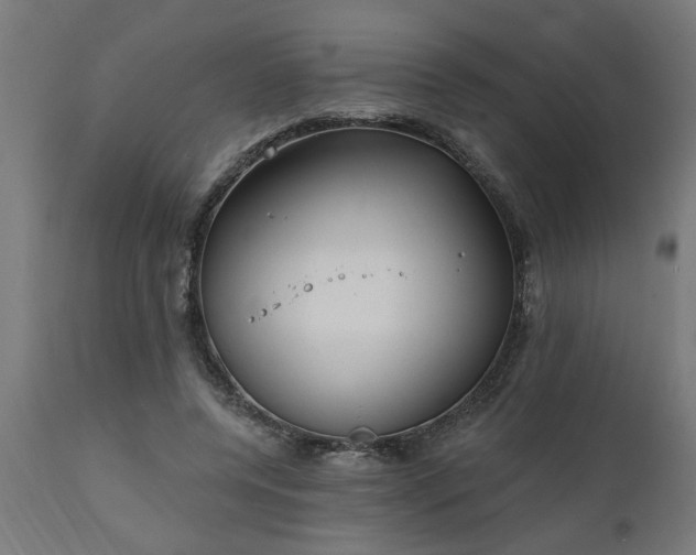 X0000111830544200907301322