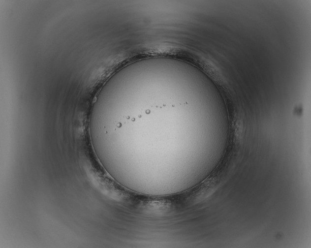 X0000111830546200907301322