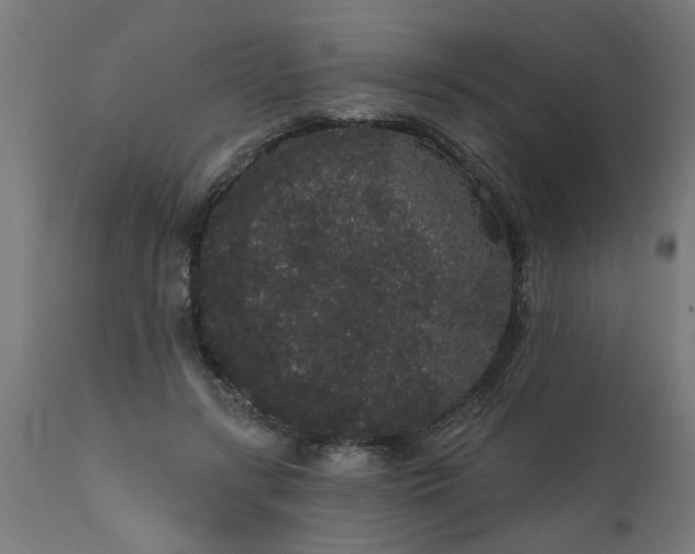 X0000111830547200907301322