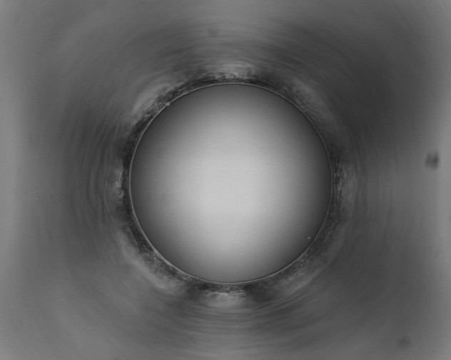 X0000111830548200907301322