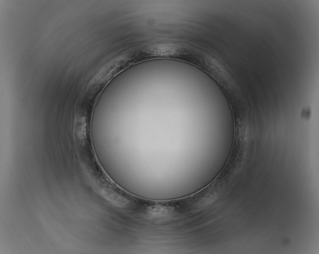 X0000111830549200907301322