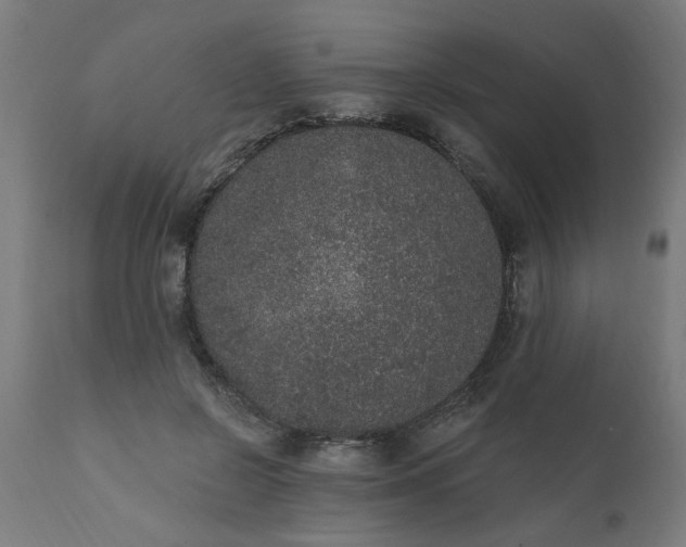 X0000111830550200907301322