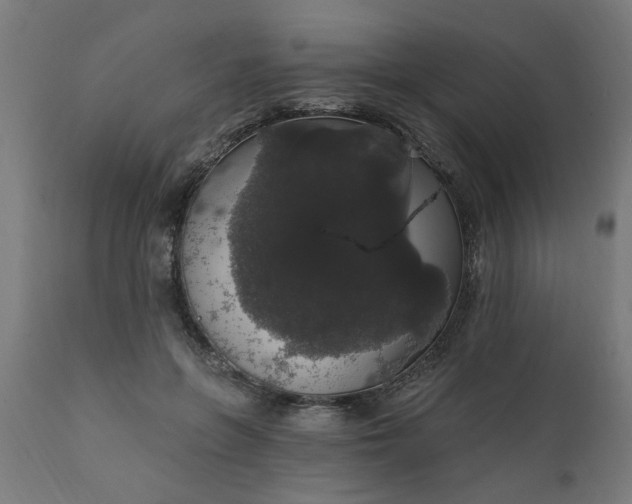 X0000111830551200907301322