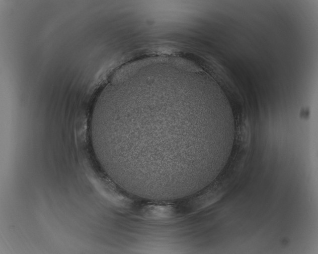 X0000111830552200907301322