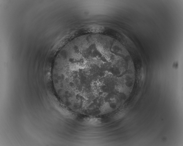 X0000111830553200907301322