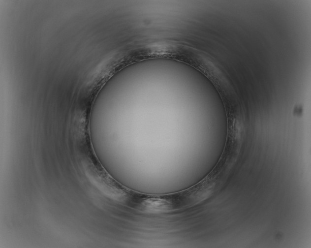 X0000111830557200907301322