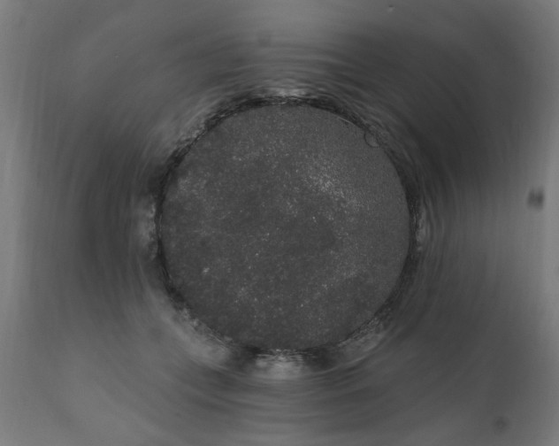 X0000111830559200907301322