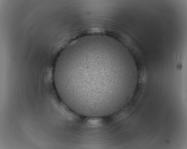 X0000111830560200907301322