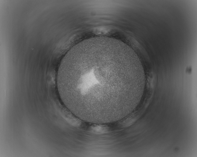 X0000111830561200907301322