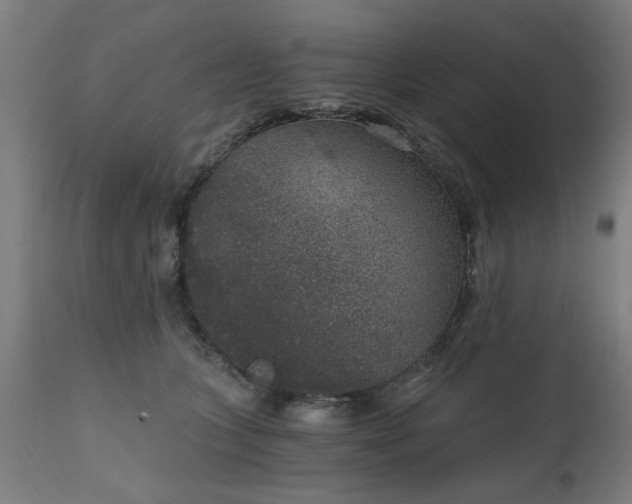 X0000111830563200907301322