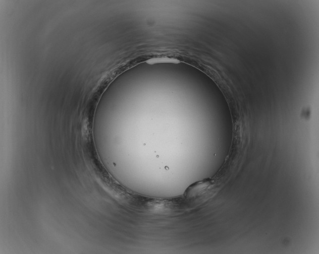 X0000111830564200907301322
