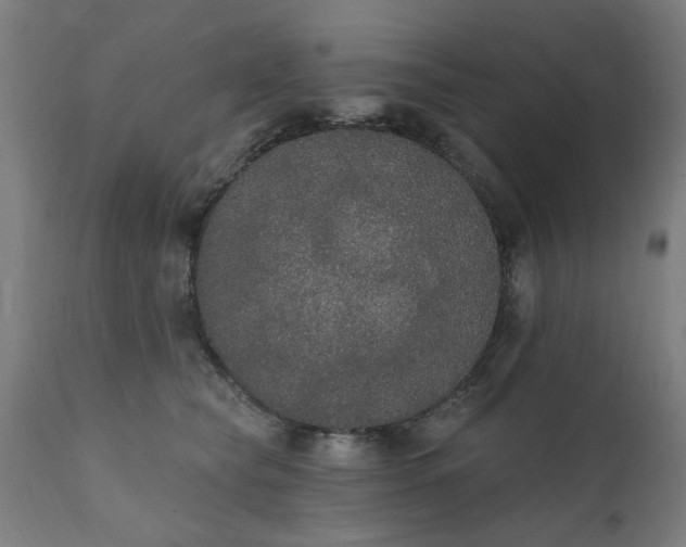 X0000111830565200907301322