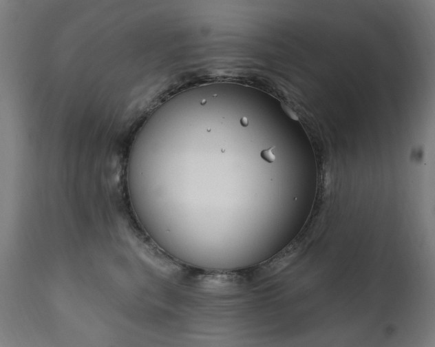 X0000111830567200907301322