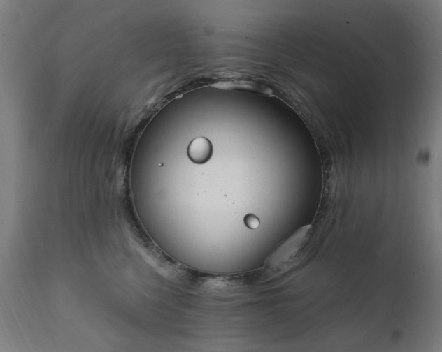 X0000111830568200907301322