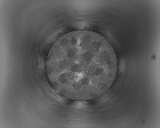 X0000111830569200907301322