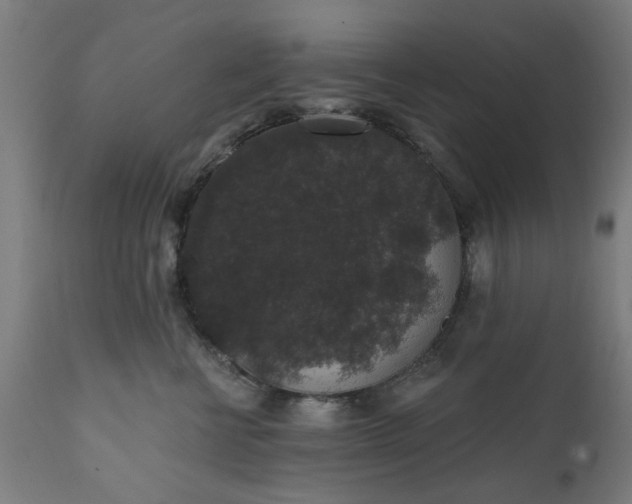 X0000111830570200907301322
