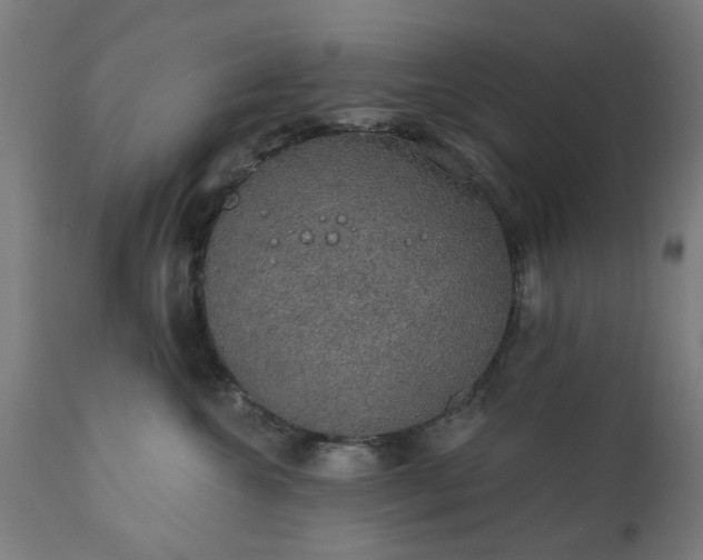 X0000111830572200907301322