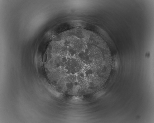 X0000111830573200907301322