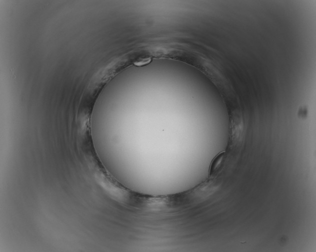 X0000111830574200907301322