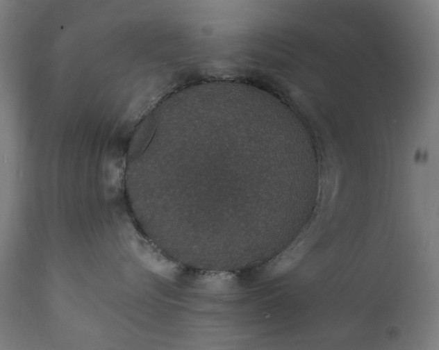 X0000111830576200907301323