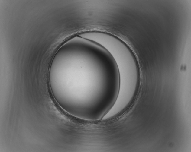 X0000111830577200907301322