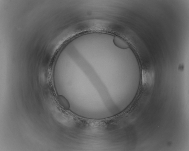 X0000111830579200907301322