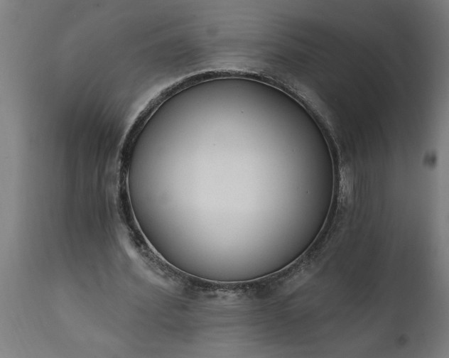 X0000111830580200907301322