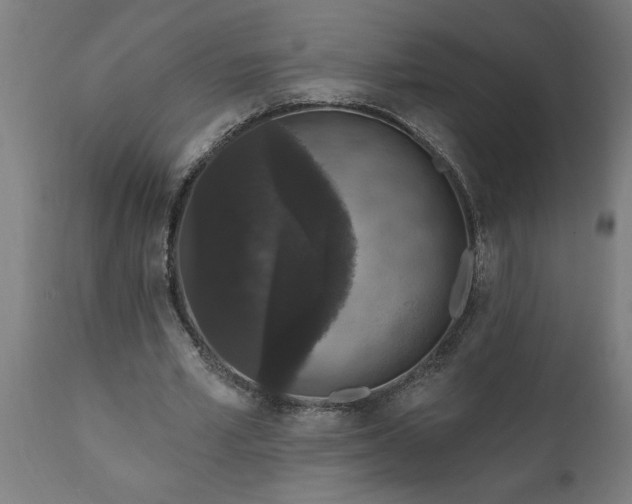 X0000111830581200907301322
