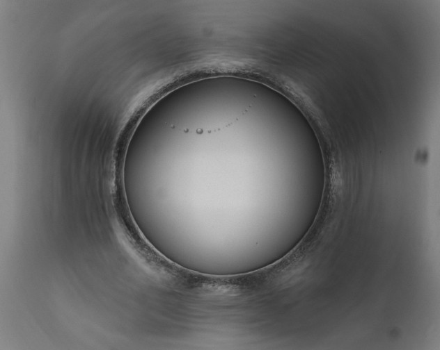 X0000111830582200907301322