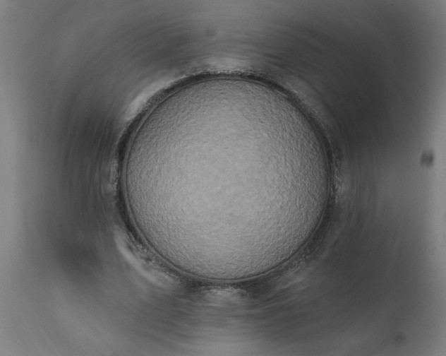 X0000111830583200907301322