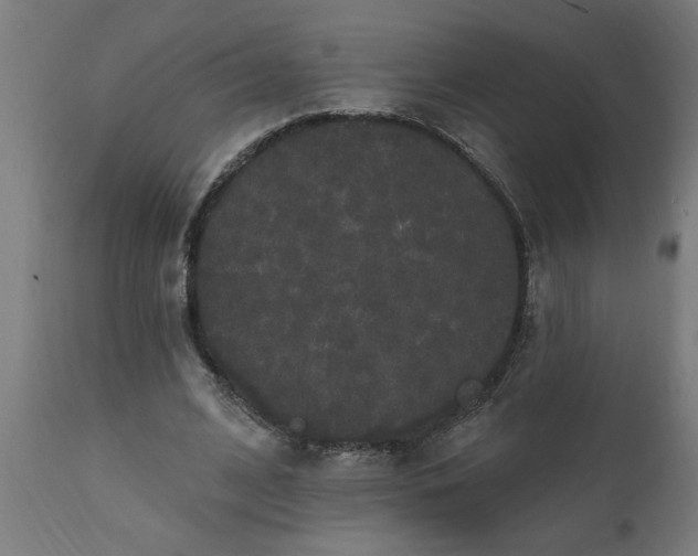 X0000111830584200907301322