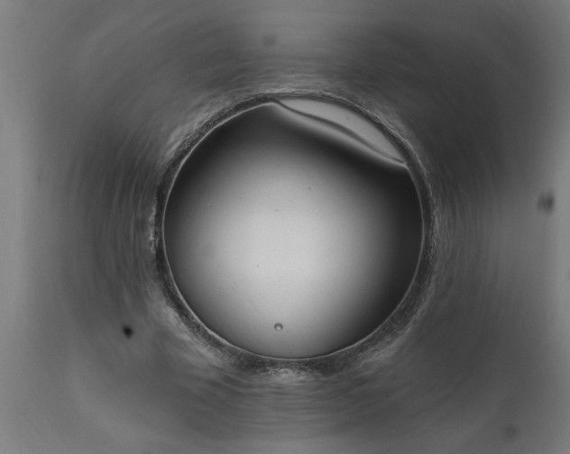 X0000111830585200907301322