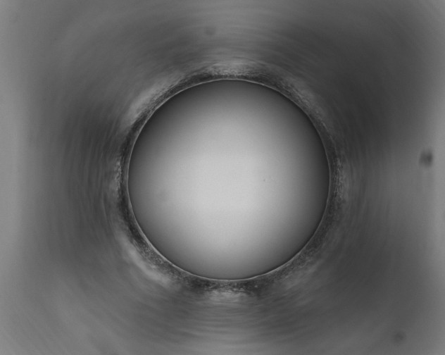 X0000111830586200907301322