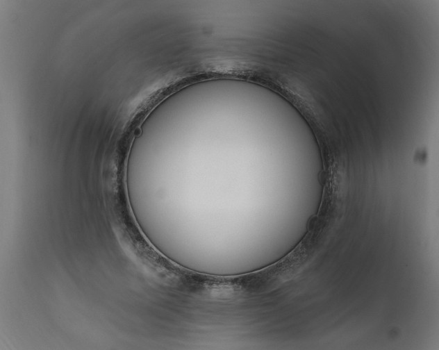 X0000111830587200907301322