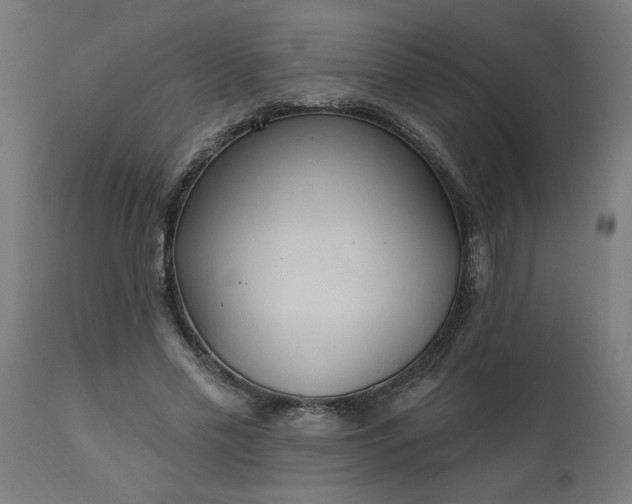 X0000111830589200907301322