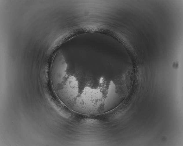 X0000111830590200907301321