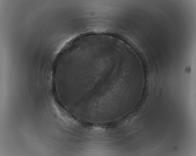 X0000111830592200907301321