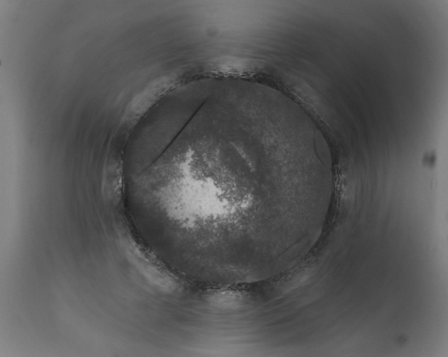 X0000111830593200907301321