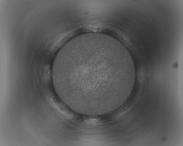 X0000111830594200907301321