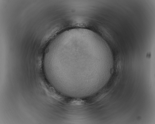 X0000111830595200907301321