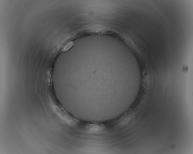 X0000111830597200907301321