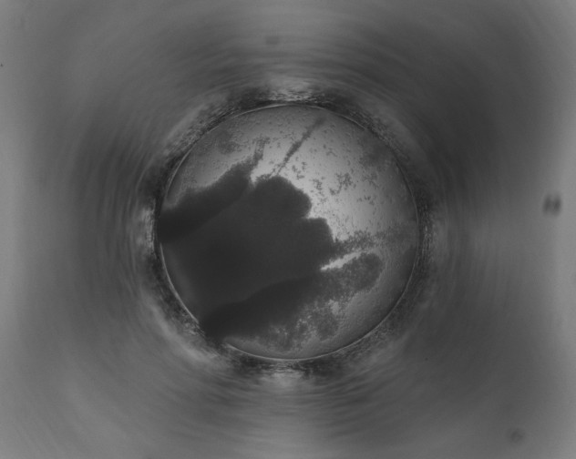 X0000111830598200907301321
