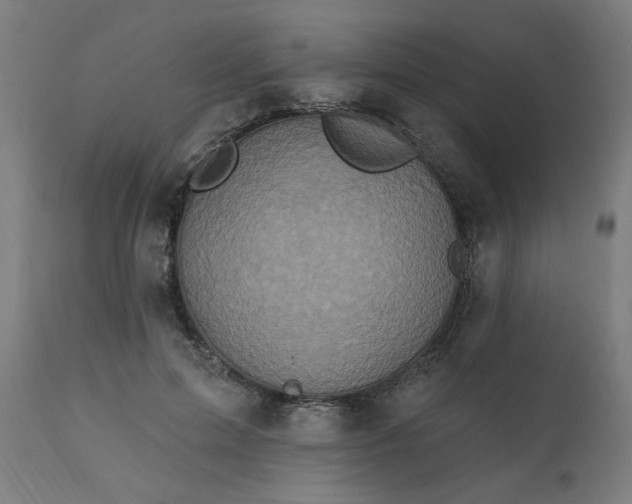 X0000111830599200907301321