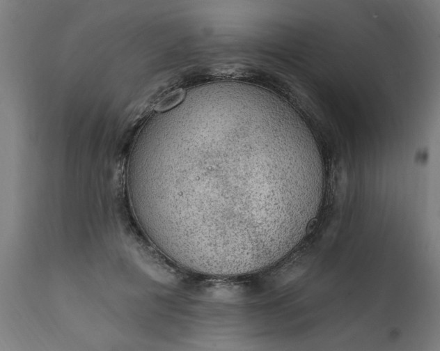 X0000111830601200907301321