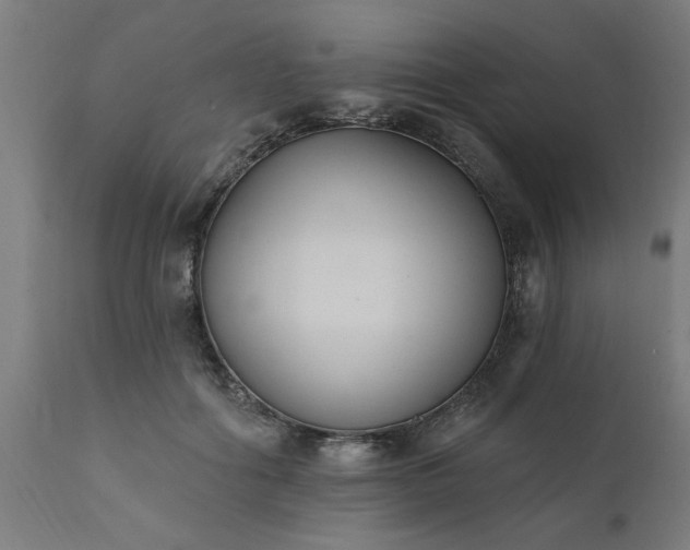 X0000111830602200907301321