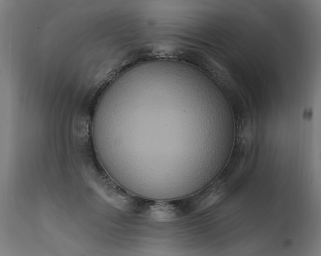 X0000111830603200907301321