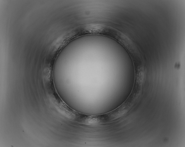 X0000111830604200907301321