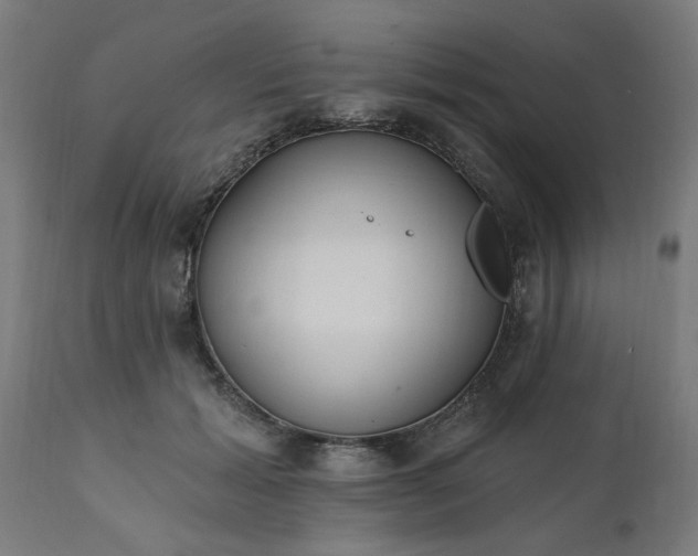 X0000111830605200907301321